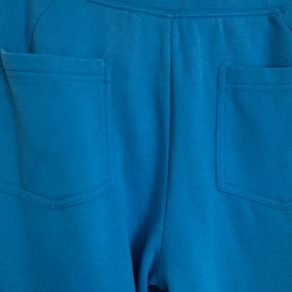 FP Movement by Free People | Game Day Patch Colorblock Pants size Large - Picture 5 of 7